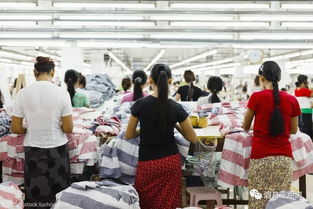 速遞 要火 泗縣被省里看中,獲批開展這項工作 草溝鎮(zhèn)積極謀劃2019年度鄉(xiāng)村振興重點項目