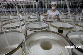 中國紡織業供應鏈的轉型升級 從低端邁向高端